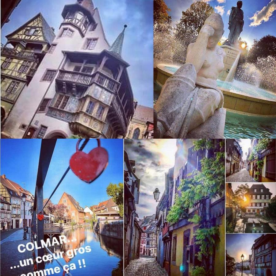 Le 1 " Gites Tout Confort A Colmar Centre" Екстер'єр фото